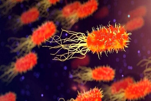 عکس تزئینی است رعایت موارد بهداشتی، عامل اصلی پیشگیری از اسهال و استفراغ تابستانی