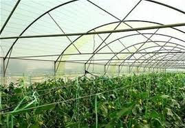 چه خبر از شهرک‌های کشاورزی کرمانشاه؟