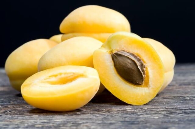 هشدار درباره مصرف هسته زردآلو؛ تلخی‌گیری به معنای بی‌خطر شدن نیست