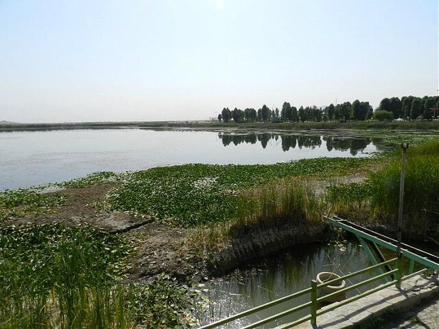 حال "سراب نیلوفر" کرمانشاه فعلا خوب است حال "سراب نیلوفر" کرمانشاه فعلا خوب است