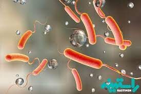 شمار مبتلایان به وبا در کرمانشاه به 3 نفر رسید