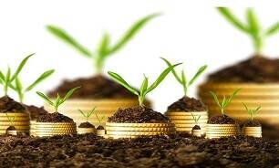 افزایش 40 درصدی سطح بیمه اراضی کشاورزی کرمانشاه