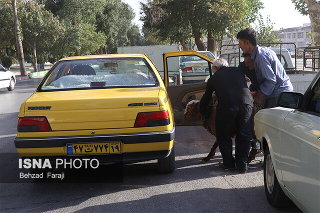 فروش گوسفند قربانی در کرمانشاه