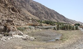 "هشیلان" خشک شد/ آبرسانی با تانکر برای نجات حیات وحش این تالاب