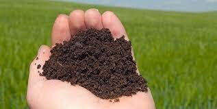 نسبت به "خاک" سهلانگاریم