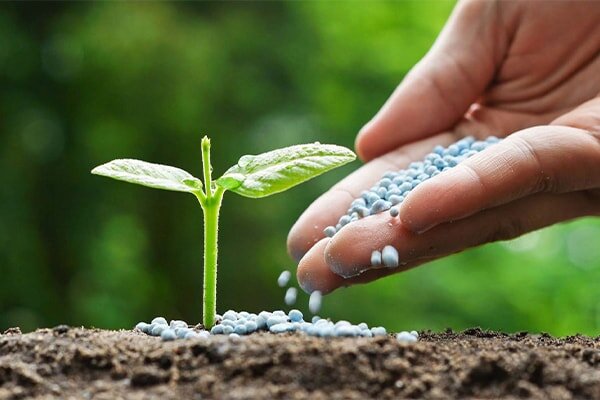 نسبت به "خاک" سهل‌انگاریم