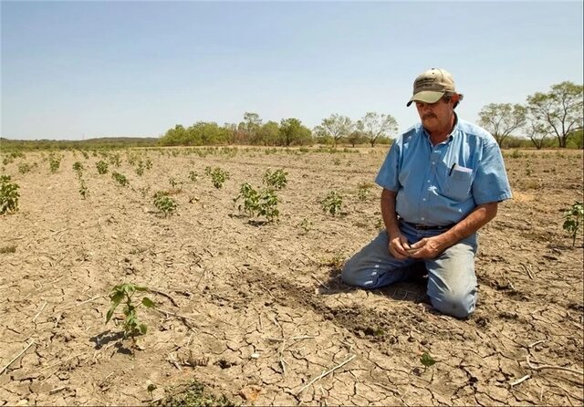 کشاورزان مهاجر فرصت‌ اشتغال‌ بخش کشاورزی را از کرمانشاه می‌گیرند
