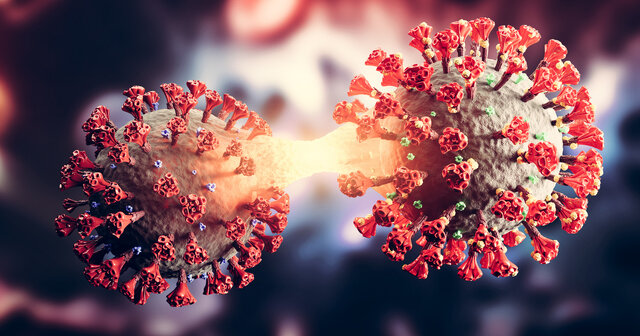 موج جدید کرونا در استان مرکزی آغاز شده است