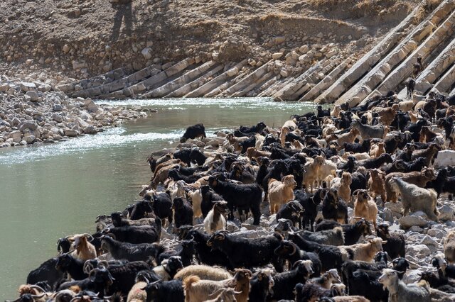 سوله؛ آیینی هزار ساله در "کلاشی لولم"