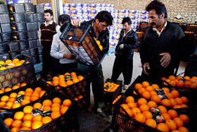قیمت میوه شب عید در کرمانشاه اعلام شد