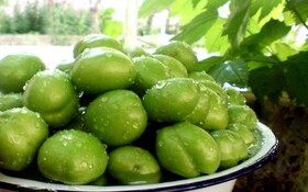 دومین جشنواره زمرد حبله رود در منطقه گردشگری بنکوه