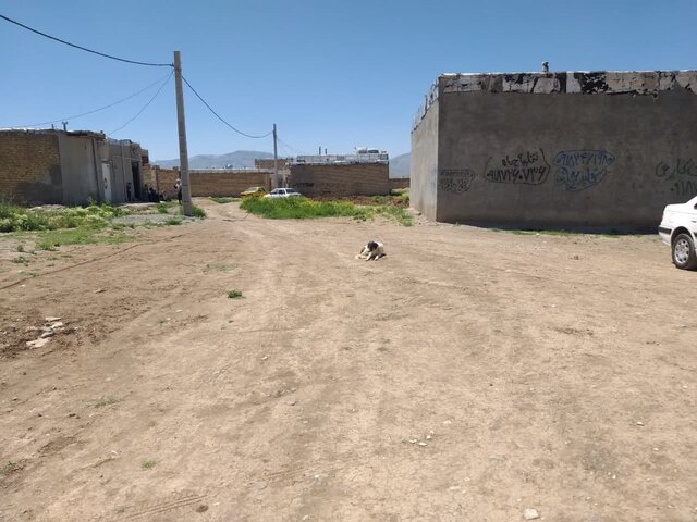 این ۱۲ هزار نفر در کرمانشاه سرگردانند!