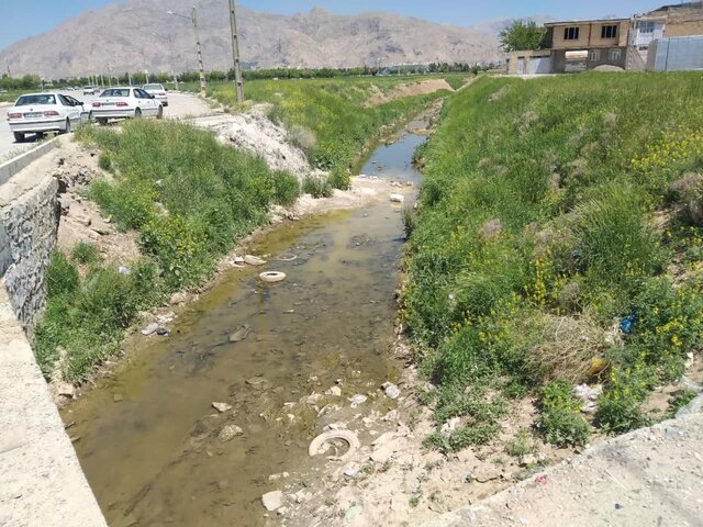 این ۱۲ هزار نفر در کرمانشاه سرگردانند!