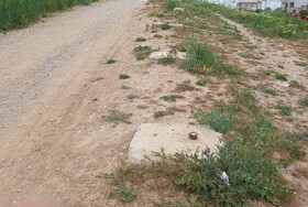 مدیرپایگاه ملی تاق بستان: هیچ طرح جامع گردشگری برای شکارگاه خسروپرویز ارائه نشده است