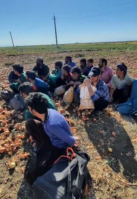 تداوم طرح شناسایی اتباع بیگانه غیرمجاز در کرمانشاه