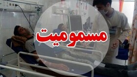 سمینار بین‌المللی "تازه‌های درمان مسمومیت" در کرمانشاه برگزار می‌شود