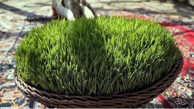 آیین سمنو پزان در روستای «کرتویج» کرمانشاه برگزار میشود