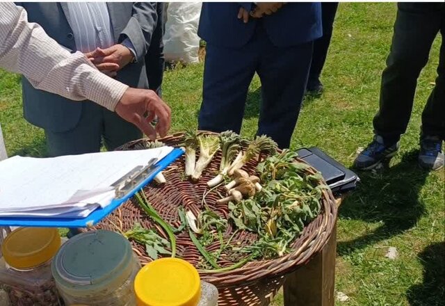 یک سفر خبری خوشمزه! یک سفر خبری خوشمزه!