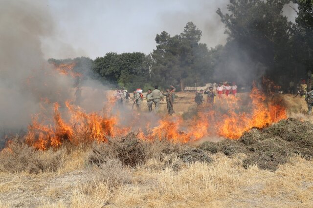 «جارسوزی» عامل ۲۰ درصد حریقهای رخ داده در منابع طبیعی کرمانشاه است «جارسوزی» عامل ۲۰ درصد حریقهای رخ داده در منابع طبیعی کرمانشاه است