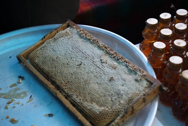 عکس تزئینی است تلاش برای برندسازی عسل زنجان