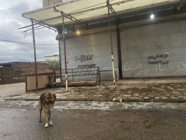 «دهپهن»، معلق بین شهر و روستا!