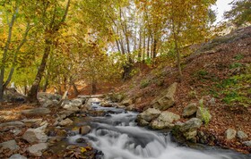 باغ‌شهر کوچک صحنه، تفرجگاهی خوش آب و هوا برای نوروز