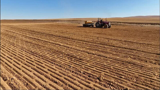 امتیازات خوب طرح «جهش تولید در دیمزارها» برای کشاورزان امتیازات خوب طرح «جهش تولید در دیمزارها» برای کشاورزان