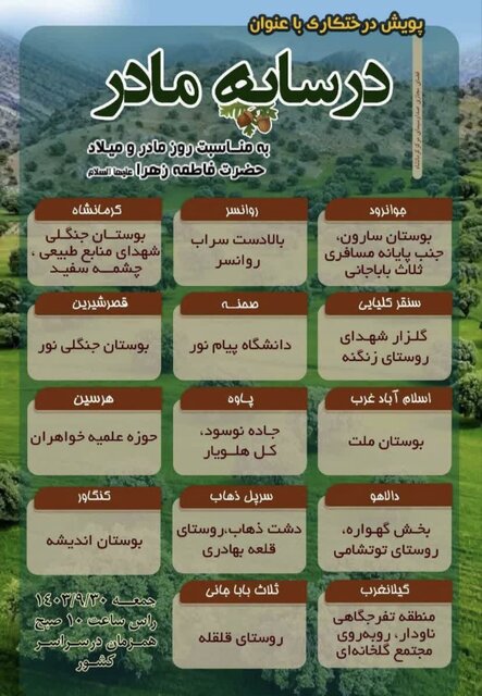 ۲۵۰۰ نهال در پویش «در سایه مادر» در کرمانشاه غرس میشود