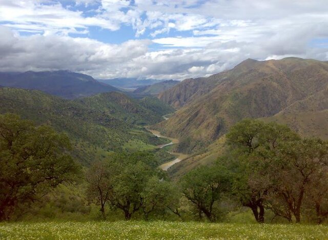 بوزین و مرهخیل؛ از درختان ۳۰۰ ساله تا زیستگاه منحصر بفرد «شوکا» بوزین و مرهخیل؛ از درختان ۳۰۰ ساله تا زیستگاه منحصر بفرد «شوکا»