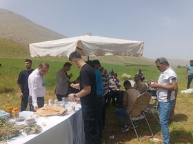 برگزاری تور گردشگری خوراک برای دانشجویان خارجی دانشگاه‌های کرمانشاه