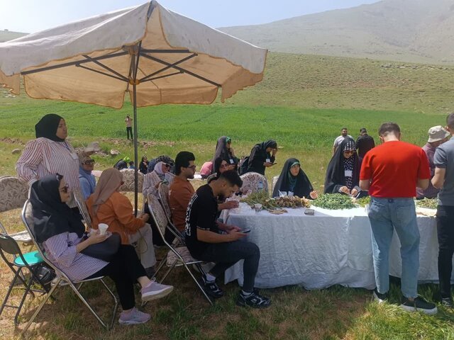 برگزاری تور گردشگری خوراک برای دانشجویان خارجی دانشگاه‌های کرمانشاه