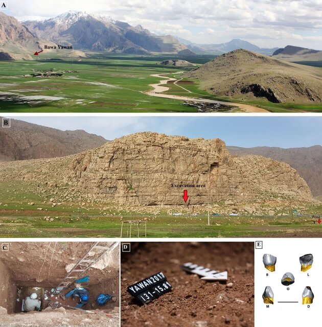 کشف ابعاد تازهای از زندگی نئاندرتالها در کرمانشاه