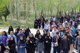 سازمان ملی جوانان احیاء می‌شود