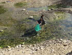 نجات اضطراری گنجینه زیستی سراب بیستون در پی خشکسالی