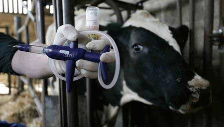 شناسایی ۱۸ کانون تب برفکی در کرمانشاه