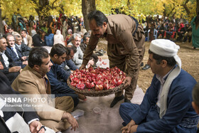 «جشن انار» ۲۹ آبان در روستای ساتیاری پاوه برگزار می‌شود