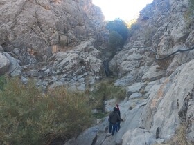 گنجی پنهان در میان دره‌های صحنه