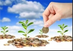 یک مسئول: امسال ۵۰۰ هزار هکتار از اراضی کشاورزی کرمانشاه زیر پوشش بیمه خواهد رفت