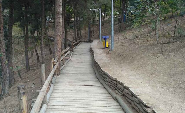 عکس تزئینی است مدیریت پارک جنگلی «چشمه سفید» کرمانشاه به شهرداری واگذار میشود