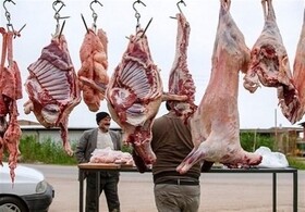 گسترش روزافزون مراکز کشتار غیرمجاز دام در کرمانشاه/ دستگاه‌ها با متخلفان برخورد کنند