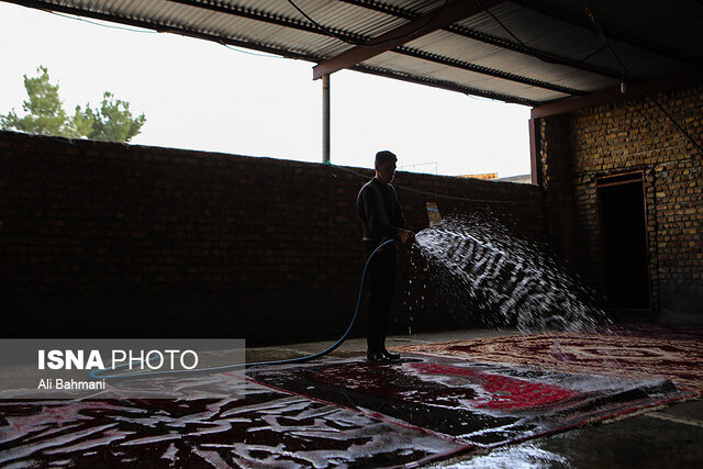 اعلام نرخ قالیشویی‌های کرمانشاه برای پایان سال/ مراقب مراکز غیرمجاز باشید