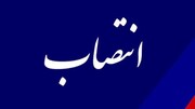 سرپرست حوزه استاندار فارس منصوب شد
