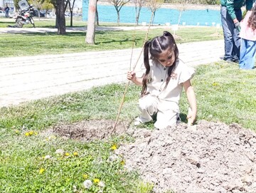 ۶۰۰۰ اصله درخت در پارک‌های کرمانشاه کاشته می‌شود