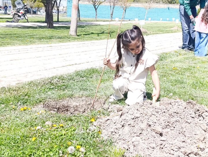 ۶۰۰۰ اصله درخت در پارک‌های کرمانشاه کاشته می‌شود