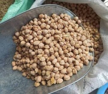 باز شدن گمرکات بر روی صادرات نخود/ امیدواری برای شکستن رکورد صادرات