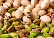 پیش‌بینی برداشت ۳۵۰ تن پسته از باغات لرستان