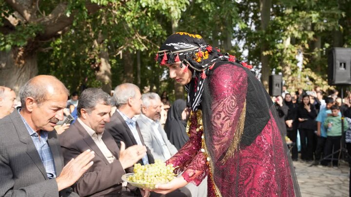 برگزاری جشنواره بادام و عسل در بیلوار کرمانشاه