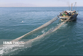 رفع دغدغه شناورداران در دست پیگیری است/نرخ جدید کرایه های برون شهری در مراحل نهایی تدوین است