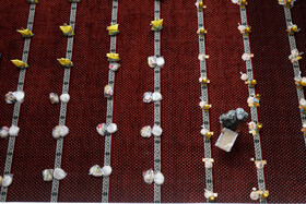 آغاز مرحله نخست رزمایش همدلی و مواسات در هرمزگان