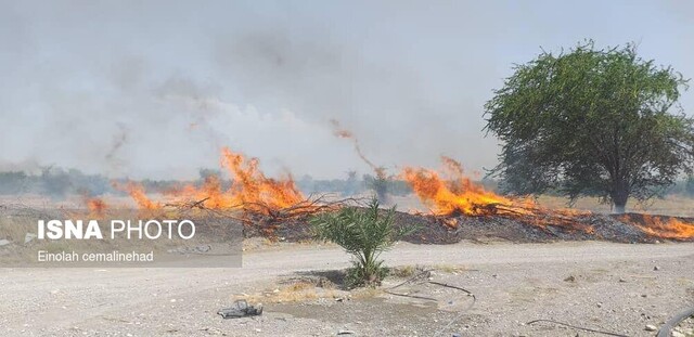 خسارت ۲۴۸ میلیارد ریالی آتش سوزی به بخش کشاورزی هرمزگان
